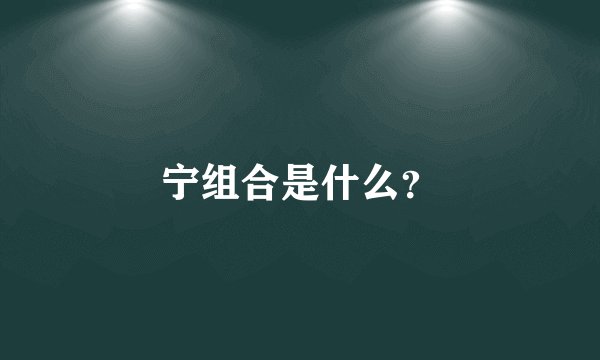 宁组合是什么？