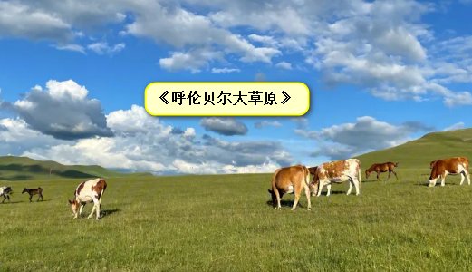 呼伦贝尔大草原歌词
