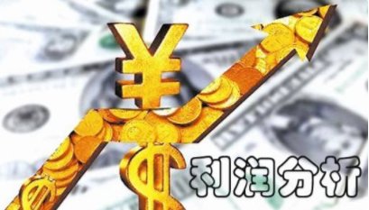 net profit是什么意思？