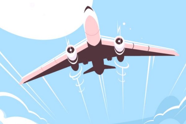 飞机票号在哪里查询