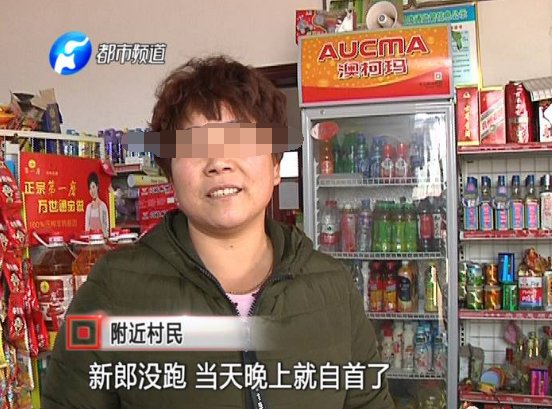 “万紫千红一片绿”一共是多少钱？