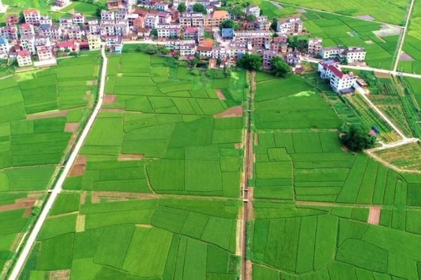 兴国安邦什么意思