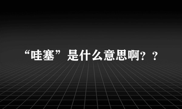 “哇塞”是什么意思啊？？