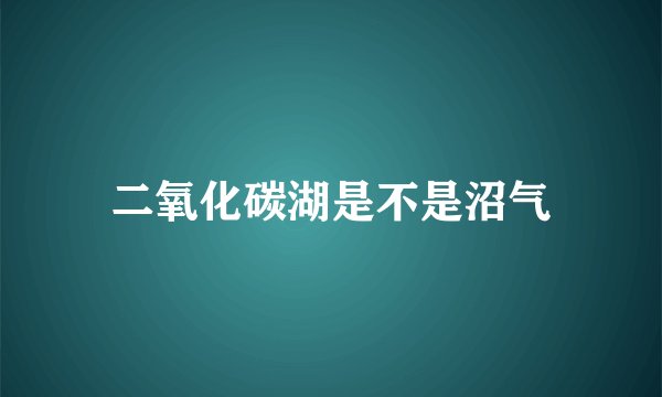 二氧化碳湖是不是沼气