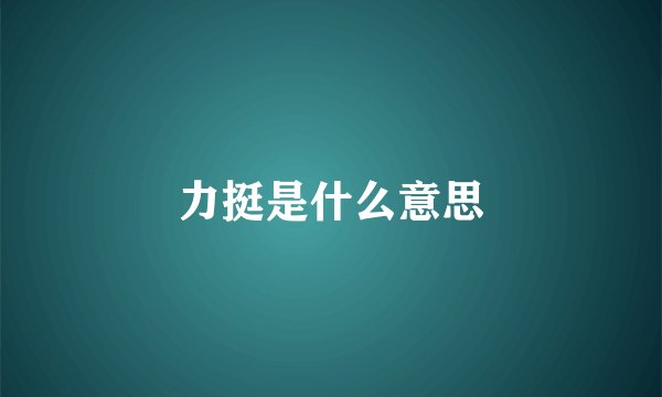 力挺是什么意思