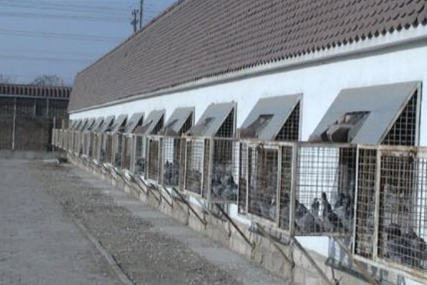 开尔公棚和神州辉煌公棚哪个更好？