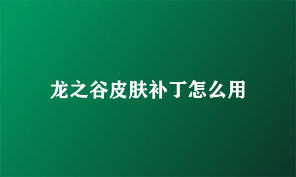 龙之谷皮肤补丁怎么用
