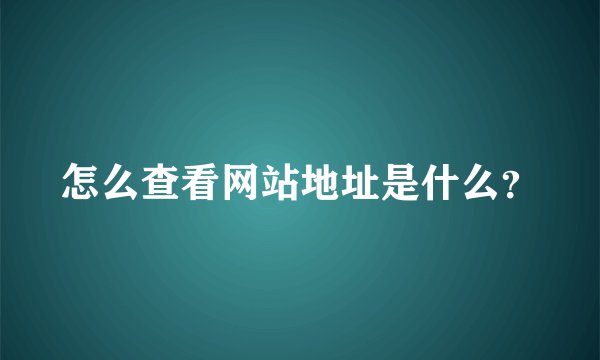 怎么查看网站地址是什么？