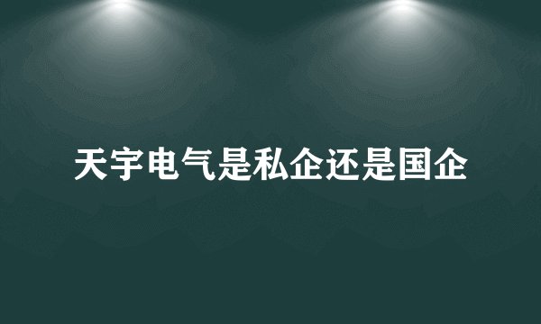 天宇电气是私企还是国企