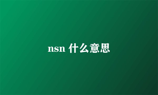 nsn 什么意思