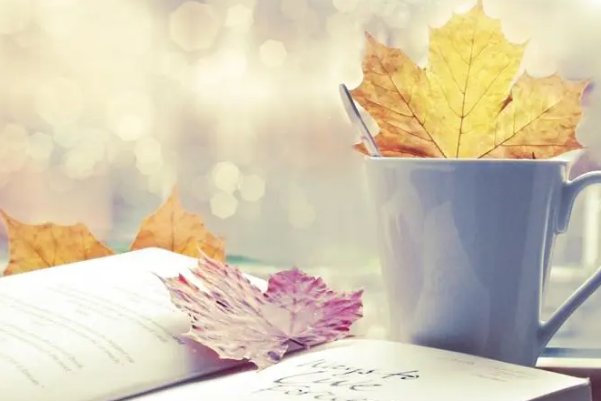 粗中有细是什么意思