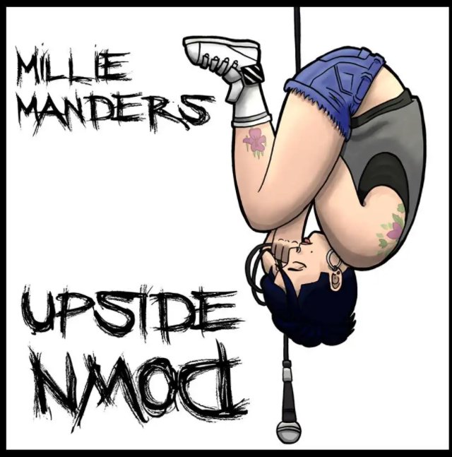 upside down是什么意思