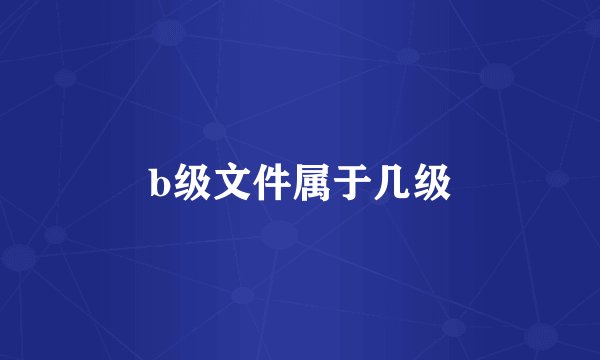 b级文件属于几级