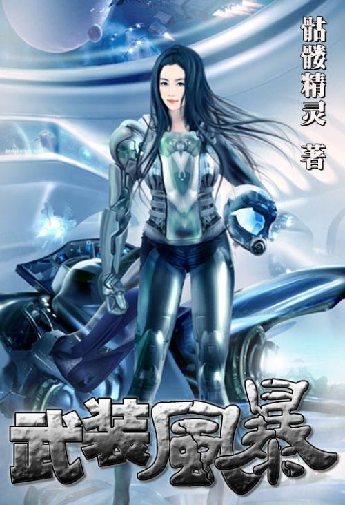 武装风暴txt全集下载