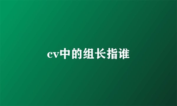 cv中的组长指谁