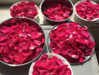 酿制葡萄酒的时候里面能加玫瑰花吗?