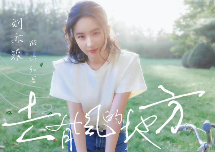 有风的地方大结局