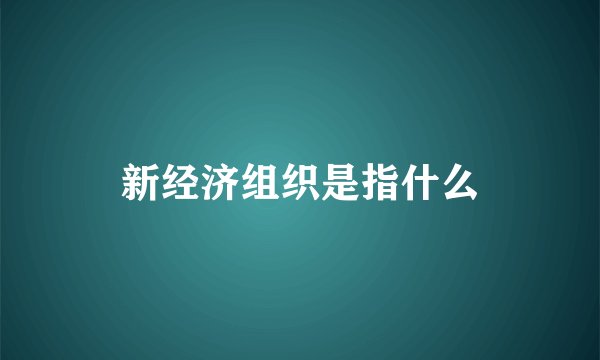 新经济组织是指什么