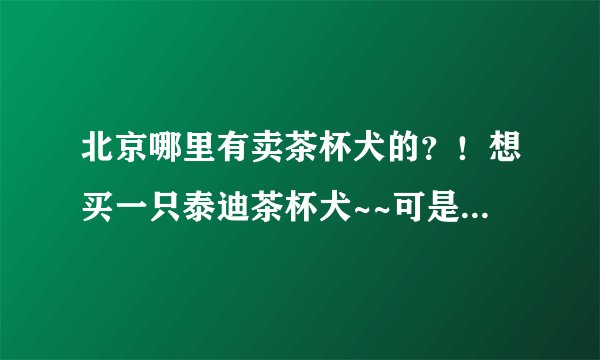 北京哪里有卖茶杯犬的？！想买一只泰迪茶杯犬~~可是不知道哪里有，而且是真的~~~不想要会长大的！！