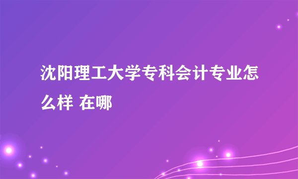 沈阳理工大学专科会计专业怎么样 在哪