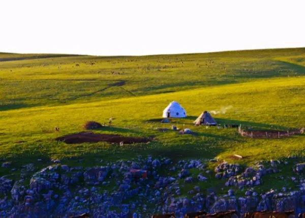 伊犁必去的景点有哪些？