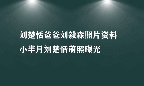 刘楚恬爸爸刘毅森照片资料 小芈月刘楚恬萌照曝光