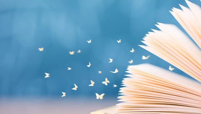 日月同辉的意思