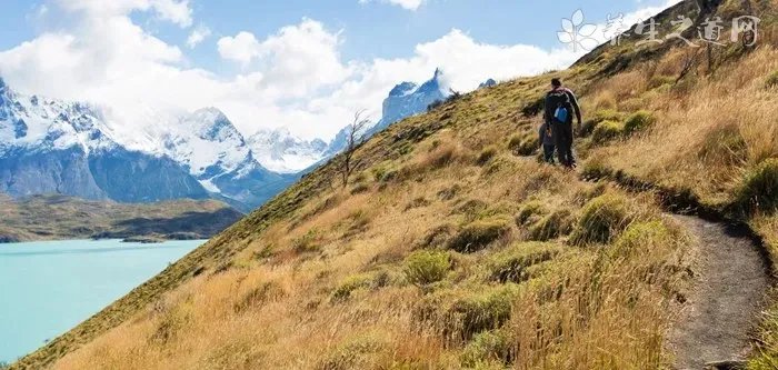 蜗牛原液的作用和副作用