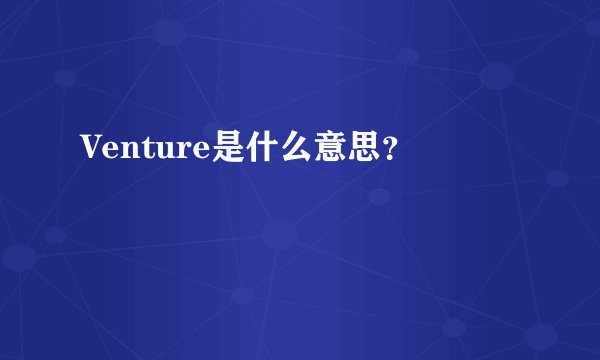 Venture是什么意思？