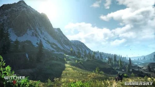 《巫师3》PC配置公布！爽玩需GTX770显卡