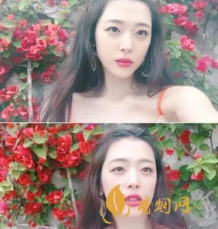 雪利含有什么营养成分