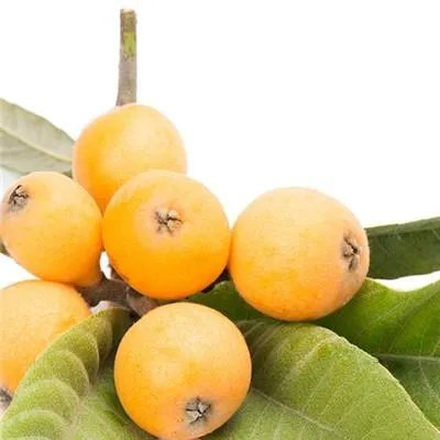 手术后吃什么恢复快