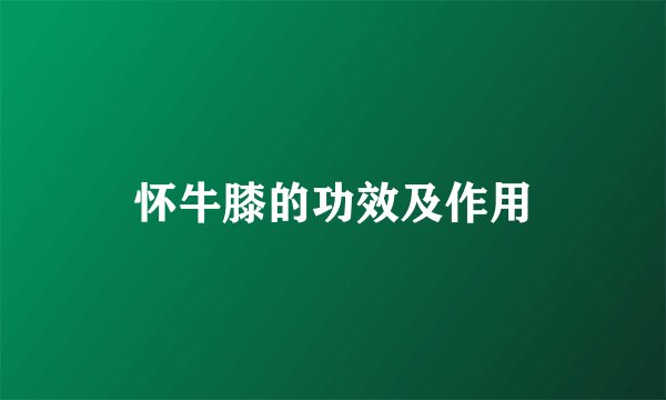怀牛膝的功效及作用