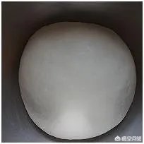 做包子怎么发面？