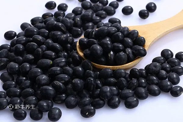 清热去火的粥有哪些