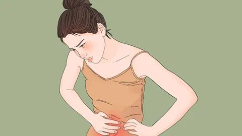 酒女贞子的功效与作用