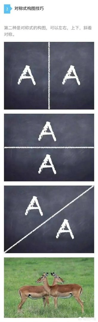 普通人怎么拍出好看的照片？