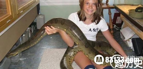人类世界惊现吃人大蛇绿水蚺 世界上最大的蛇