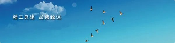 法国阿尔斯通公司的概述