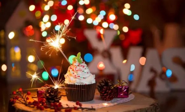 岁岁年年花相似形容生日是什么?