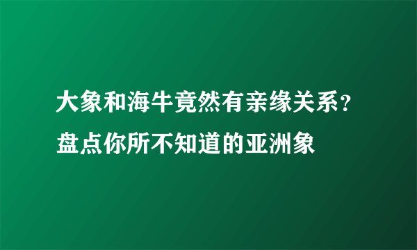 大象和海牛竟然有亲缘关系？盘点你所不知道的亚洲象