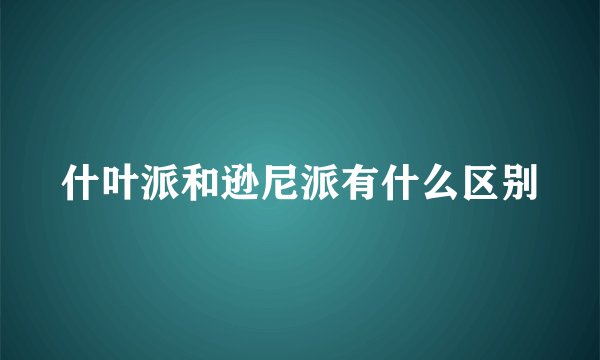 什叶派和逊尼派有什么区别