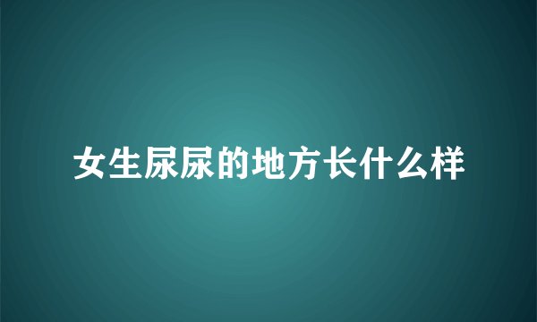 女生尿尿的地方长什么样