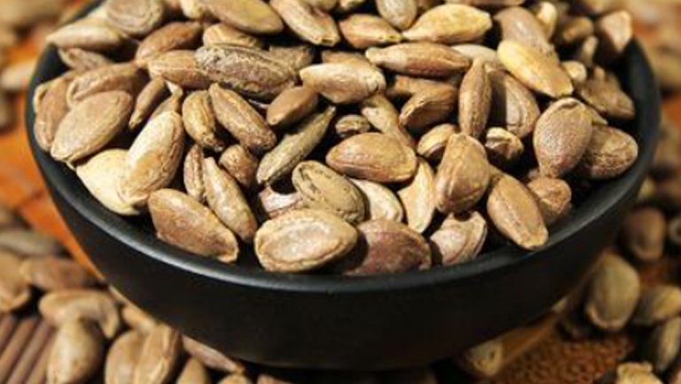 瓜蒌仁的功效与作用