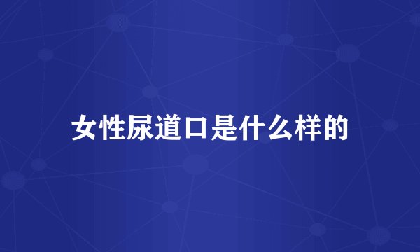 女性尿道口是什么样的