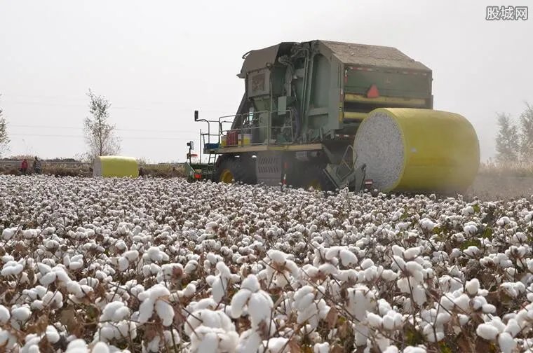 新疆棉花事件来龙去脉 来看事件真相