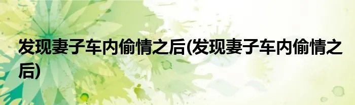 发现妻子车内偷情之后(发现妻子车内偷情之后)