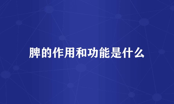 脾的作用和功能是什么