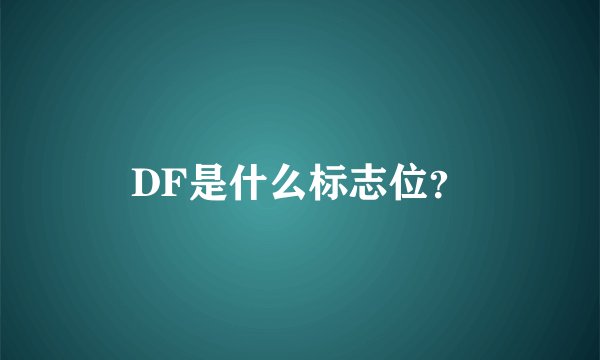 DF是什么标志位？