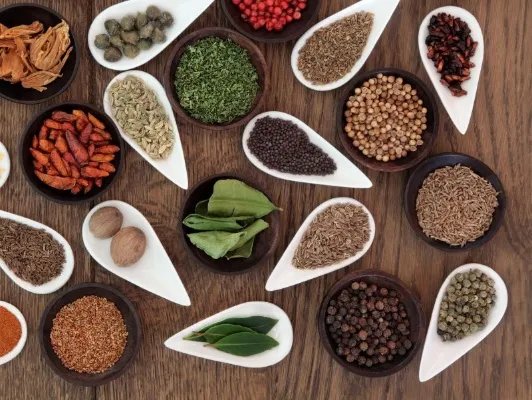 香椿怎么吃养身